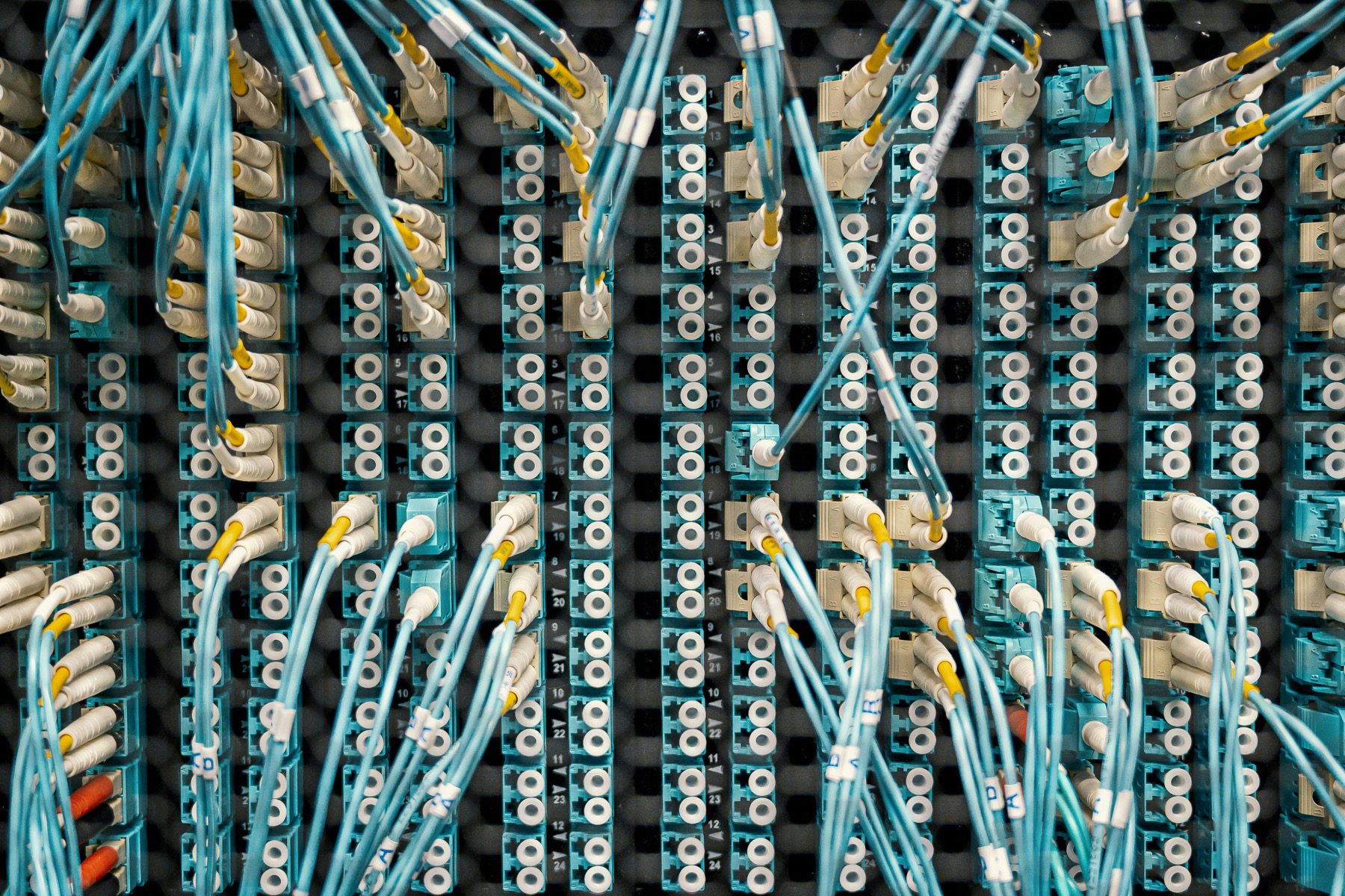 A dense network patch panel with blue and white cables connected across many ports